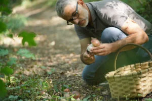 Lire la suite à propos de l’article Où ramasser des champignons à proximité de Montpellier en 2023