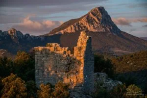 Lire la suite à propos de l’article Le GR de Pays Grand Pic Saint-Loup élu Chemin de grande randonnée préféré des Français !