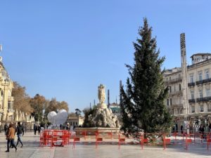 Lire la suite à propos de l’article Un grand sapin installé sur la Comédie