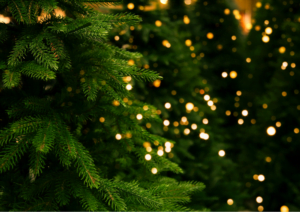 Lire la suite à propos de l’article Recyclez votre sapin en le déposant dans un Parc à Sapins à Montpellier