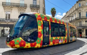 Lire la suite à propos de l’article Des punaises de lit dans les transports en commun à Montpellier ?