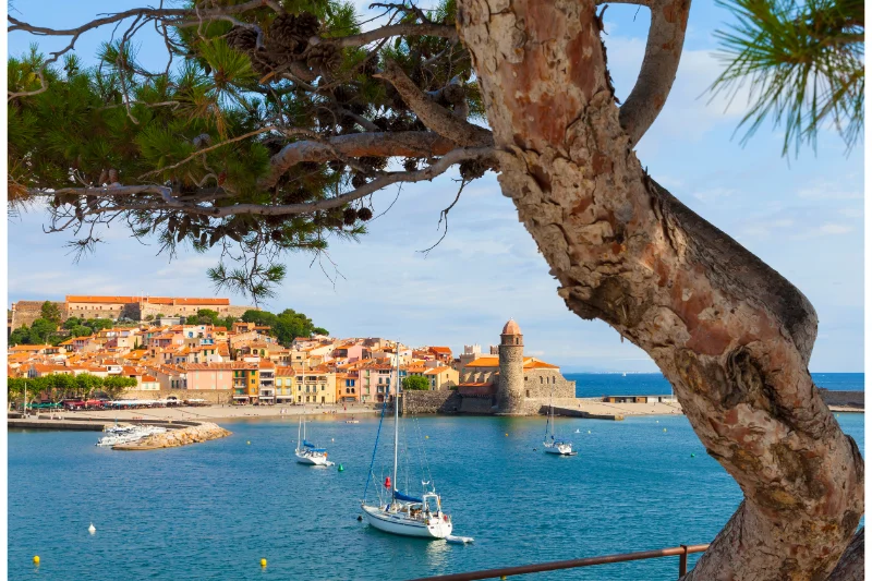 Vous consultez actuellement Pourquoi choisir les Pyrénées-Orientales pour vos prochaines vacances ?